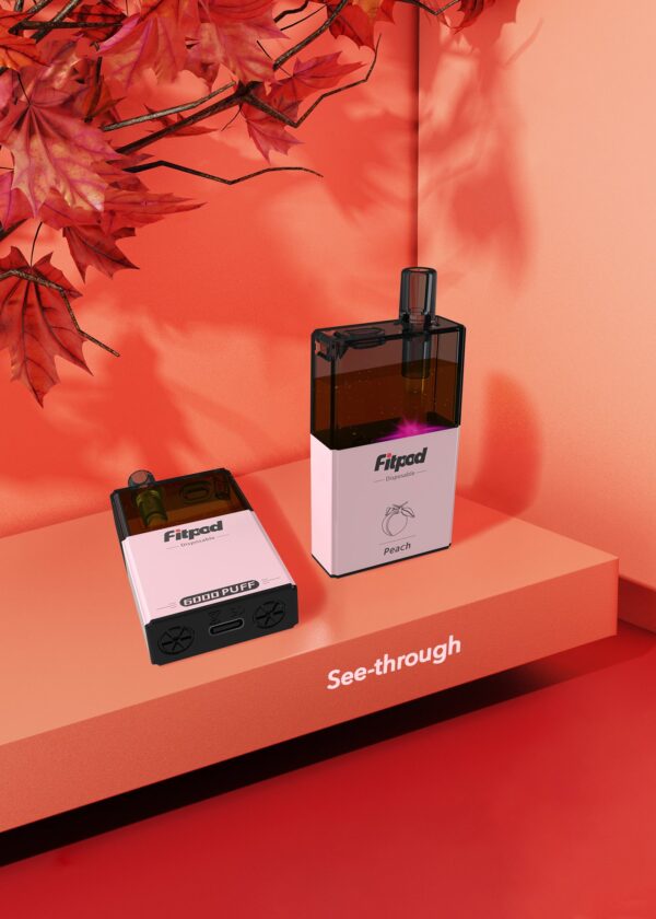 FITPOD 一次